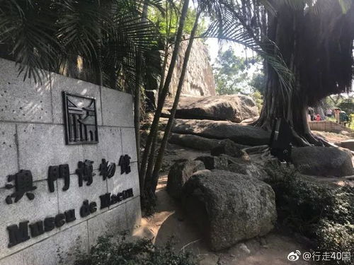 全面解析:401333牛头马面、澳门大三巴资料免费公开专家解读解释与落实,留心误导包装技巧